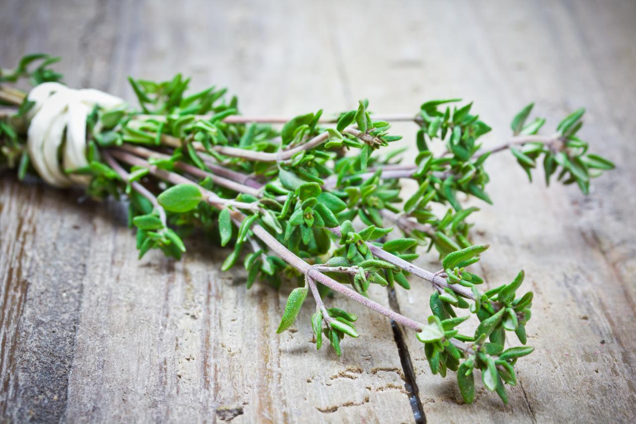 Thyme Piece: The Herb That Can Transform Any Dish